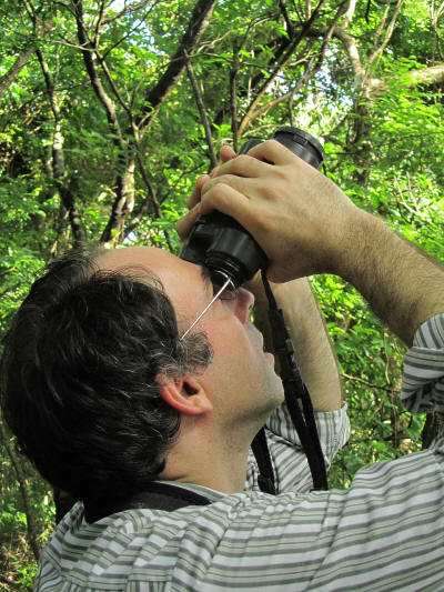 INTERESTNG AMAZON RAINFOREST FACTS: Ecuador Amazon birding expedition