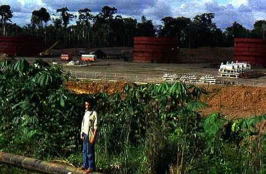 РЕКИ АМАЗОНКИ:  добыча нефти в джунглях