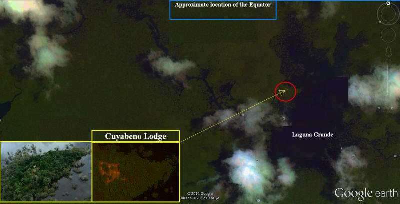 RESERVA FAUN�STICA CUYABENO [FLORA Y FAUNA 2021]:  Imagen Google del Cuyabeno Lodge