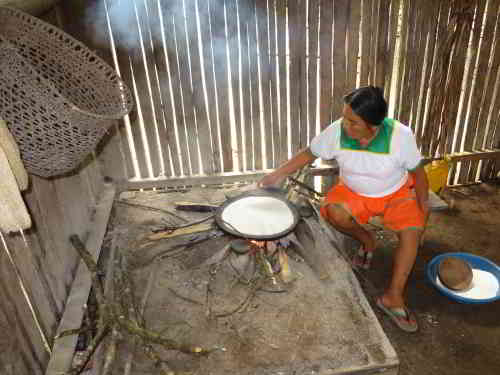 INTERESTNG AMAZON RAINFOREST FACTS: Siona woman preparing food during and Eciador Amazon Expedition visit.