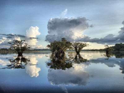 KLIMA UND WETTER IM AMAZONAS REGENWALD, ECUADOR: Quellwolken sind normal im Amazonas Klimat