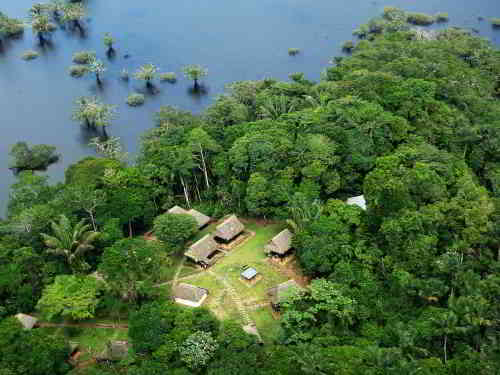 INTERESTNG AMAZON RAINFOREST FACTS: Cuyabeno Rainforest Lodge, Ecuador