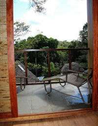 .Cuyabeno Nature Reserve: View from the Deluxe Bedrooms at the Cuyabeno Lodge.