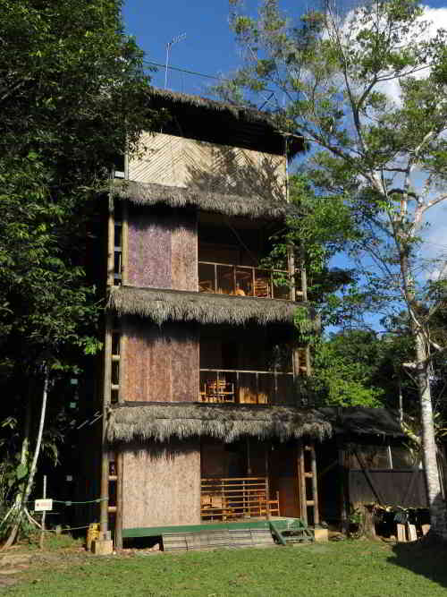 LODGE �COLOGIQUE DE NATURE D'ECOAMAZONIA AVEC ANIMAUX: le tour d'observation de la canop�e du Cuyabeno Lodge est le point le plus �lev� de toute la r�gion, donnant sur les canop�es des arbres et le lac.