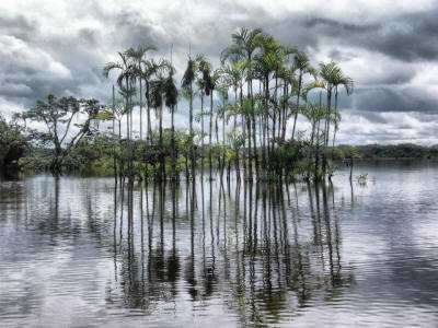 KLIMA UND WETTER IM AMAZONAS REGENWALD, ECUADOR: Regenwolken sind normal im Amazonasklimat