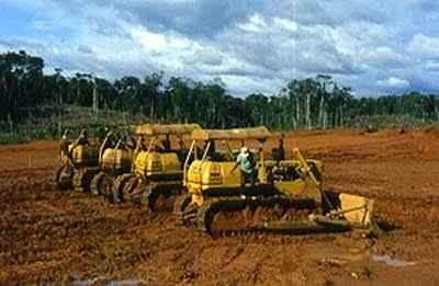 Ontbossing Amazonegebied Ecuador