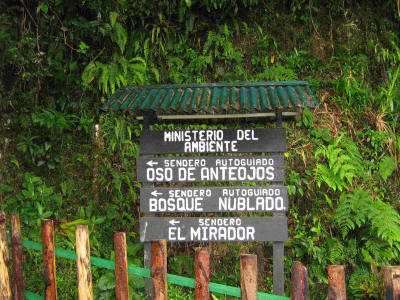 Национальный парк Подокарпус