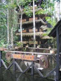 KLIMA UND WETTER IM AMAZONAS REGENWALD, ECUADOR: �berschwemmungen den Fluss entlang.