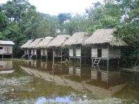 KLIMA UND WETTER IM AMAZONAS REGENWALD, ECUADOR: �berflutung nimmals Cuyabeno Lodge.