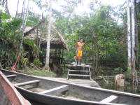 KLIMA UND WETTER IM AMAZONAS REGENWALD, ECUADOR: �berflutung f�r die billege lodges.