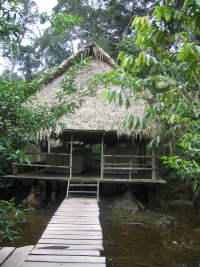 KLIMA UND WETTER IM AMAZONAS REGENWALD, ECUADOR: �berschwemmung in die billige Lodges aber nicht Cuyabeno Lodge.