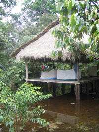 KLIMA UND WETTER IM AMAZONAS REGENWALD, ECUADOR: �berschwemmung nimmals im Cuyabeno Lodge.