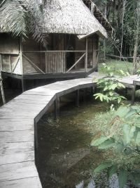 KLIMA UND WETTER IM AMAZONAS REGENWALD, ECUADOR: �berschwemmung in Cuyabeno