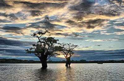 KLIMA UND WETTER IM AMAZONAS REGENWALD, ECUADOR: Abends k�hlt die Temperatur ab