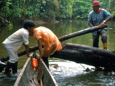 Amazonas Abenteuerreisen Ecuador Archivbild: FAO Amazon exploration natural areas Ecuador, 1975 slide scan