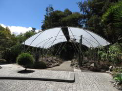 Botanical Garden Quito Cactus House