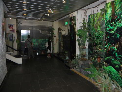 WHAT IS MITAD DEL MUNDO MONUMENT? Ethnographic Pavilion