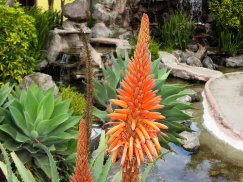WHAT IS MITAD DEL MUNDO MONUMENT? Tasteful gardens in the park. 