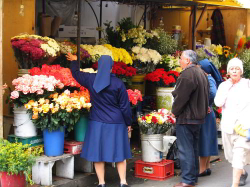QUE HACER EN ECUADOR [100 MEJORES SITIO DE TURISMO]: Flores, un producto importante de exportaci�n del Ecuador