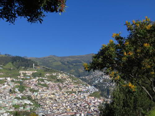 30 DO's AND DON'ts IN ECUADOR [TO STAY HAPPY & SAFE]: Take pictures in the early morning.