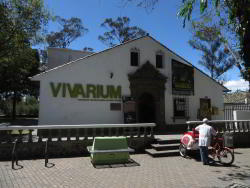 Amphibians House Vivarium of Quito