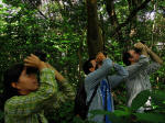 ECUADOR AMAZON TOURS: Great bird watching at the Cuyabeno Lodge. 