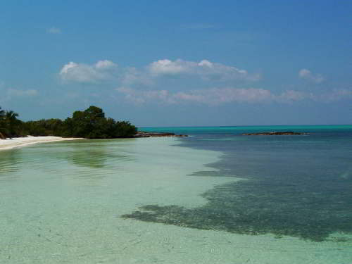 5 - 6 DAY GALAPAGOS NATIONAL PARK ADVENTURE TOURS COSTS [2026]: mangrove beach.