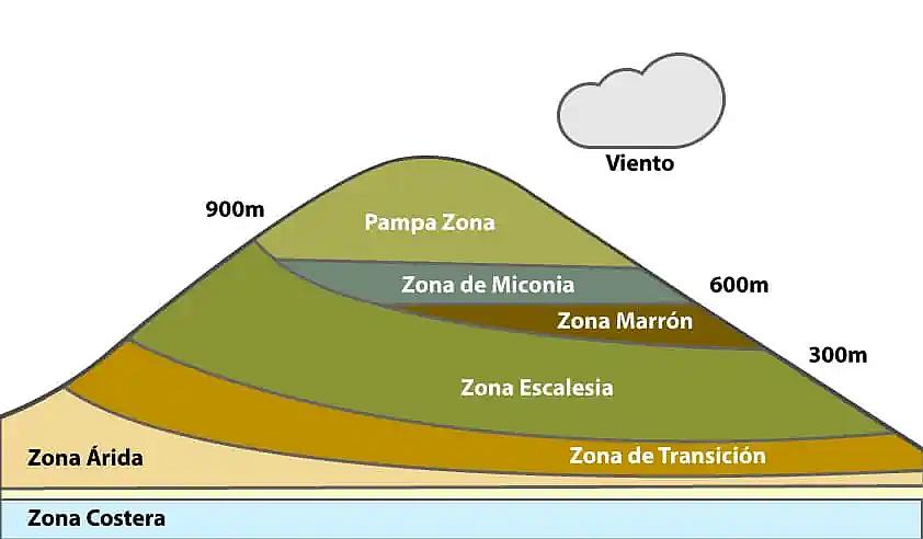 PROMOCIÓN VIAJES ÚLTIMO MOMENTO PARQUE NACIONAL GALAPAGOS: Zonas de vegetación