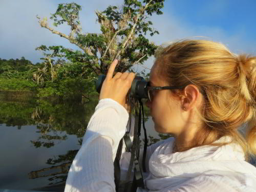 INDIVIDUELE RONDREIZEN ECUADOR: Birdwatching by visitors of the Amazon in Ecuador