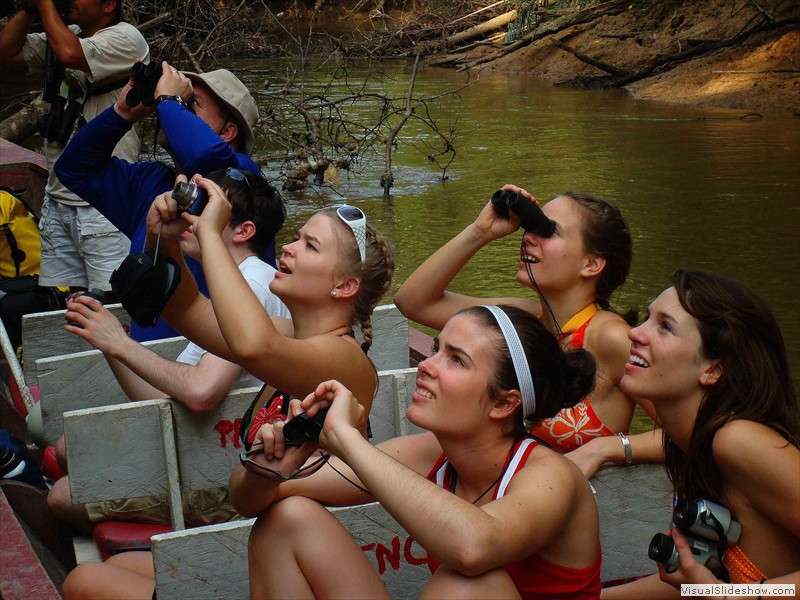 amazon_jungle_adventure