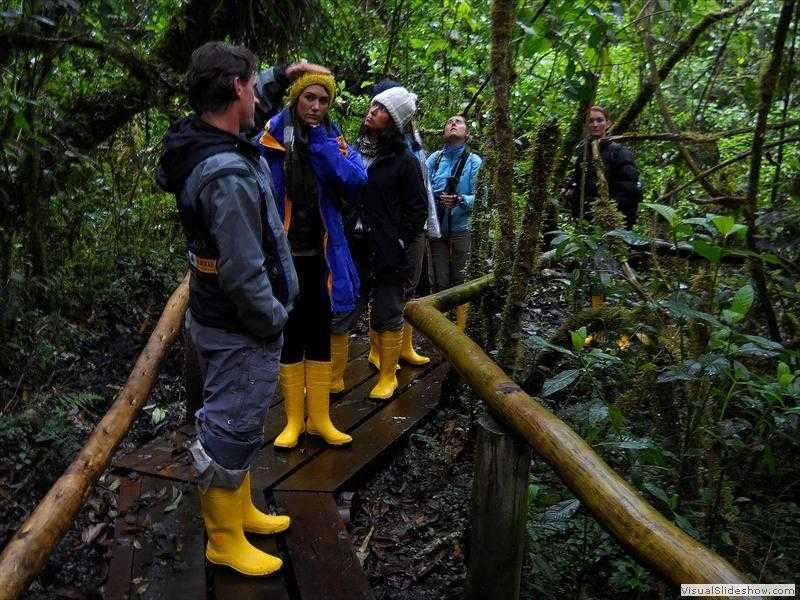 andes_forest_tourism