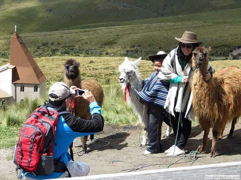 lamas-pichincha-quito