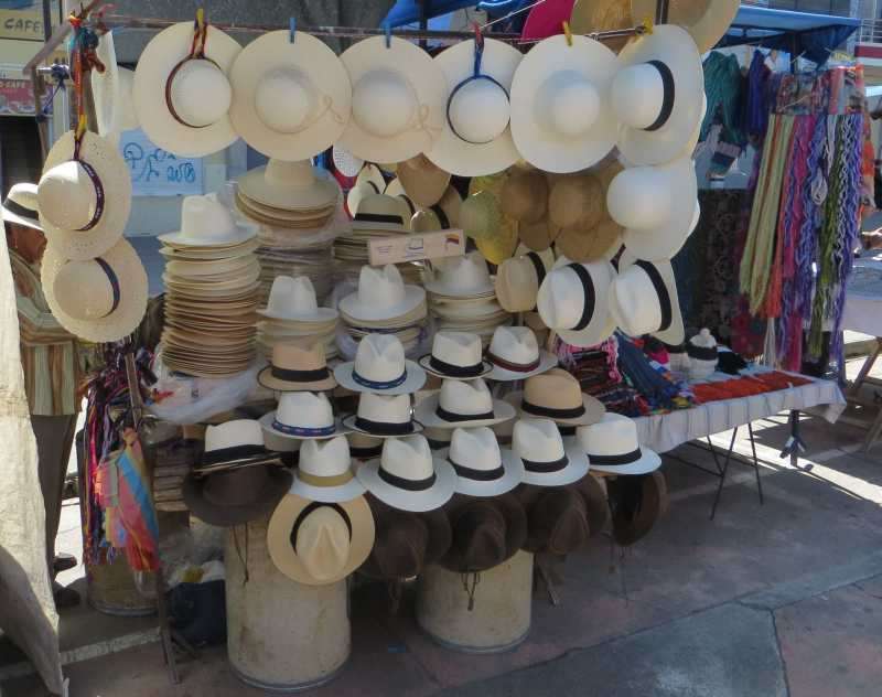 panama-hats