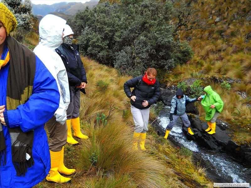 paramo_ecuador_park_tour