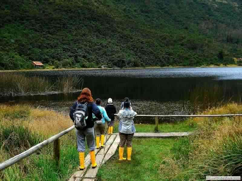 paramo_forest_tour