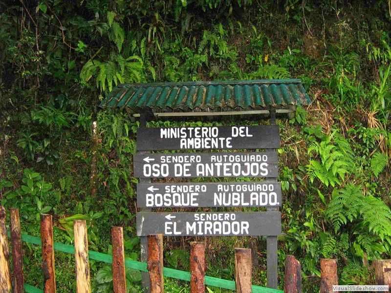 podocarpus_national_park_ecuador