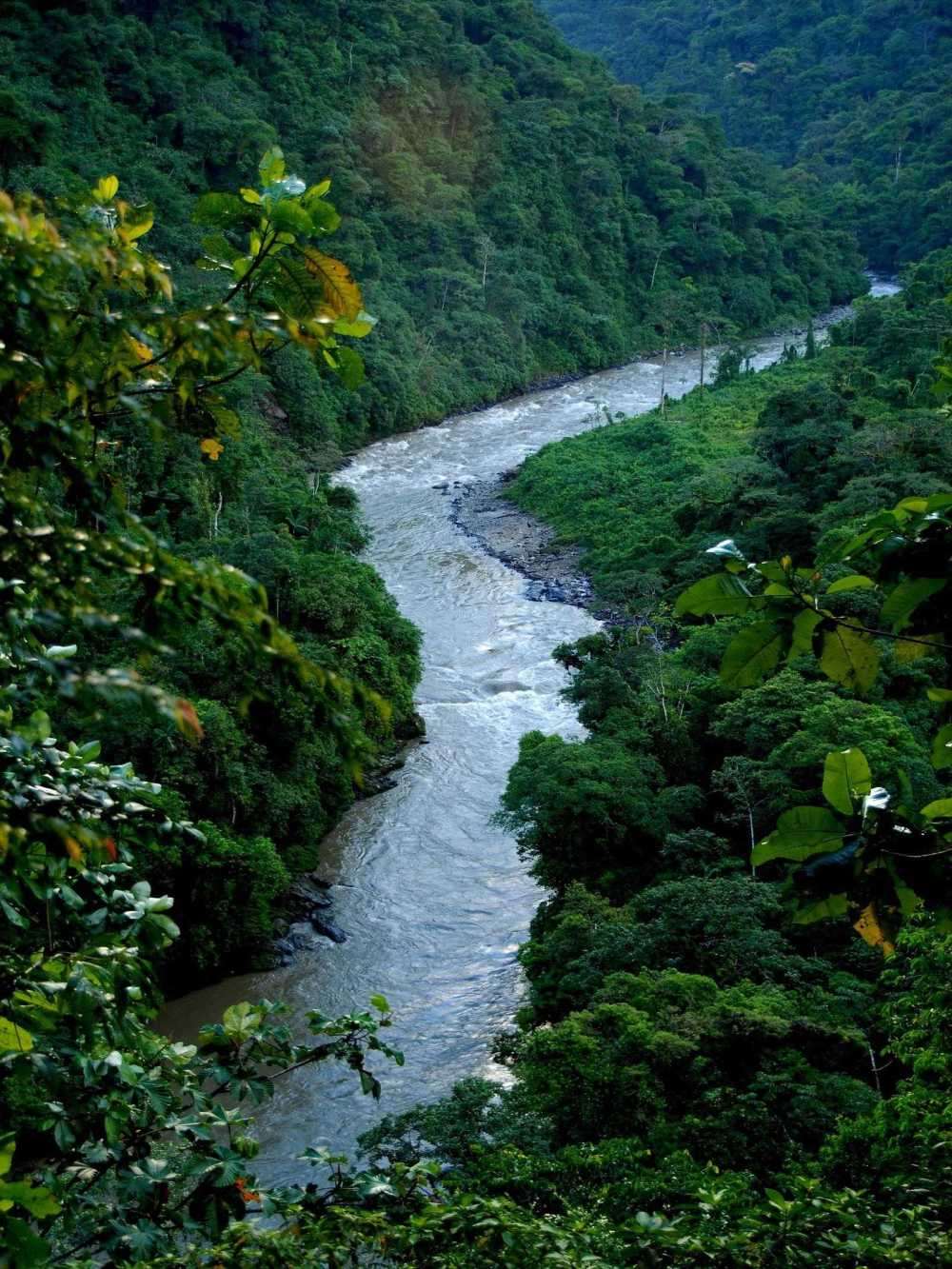 Andean valley of the Cofan River