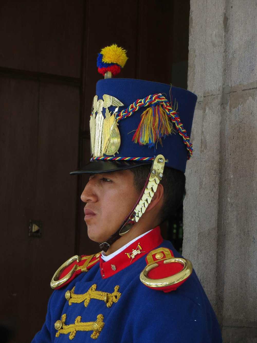 Presidential palace guard