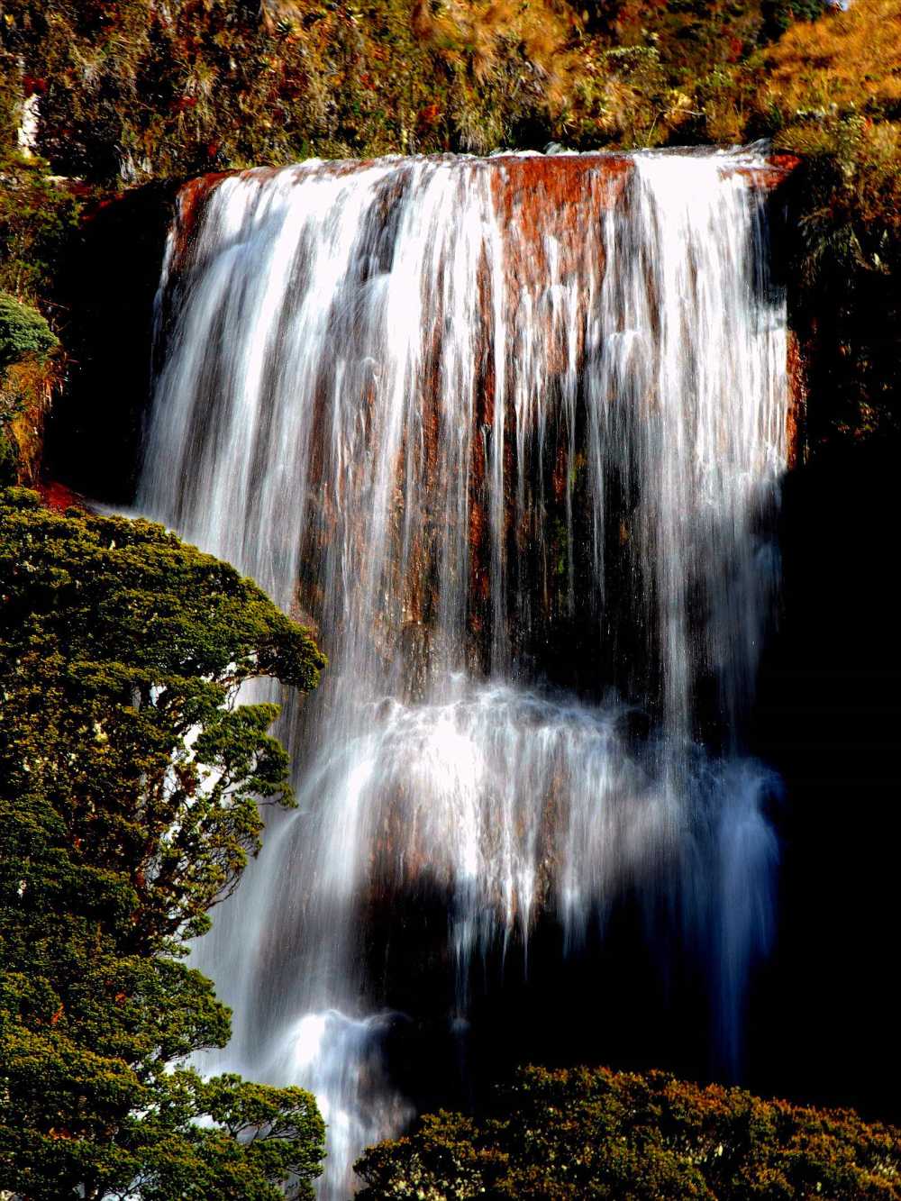 Waterfall in the cloudforest