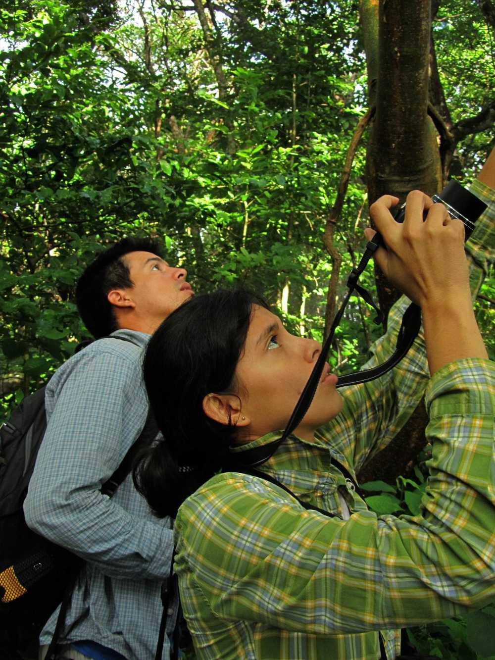 Birdwatching in the Andes