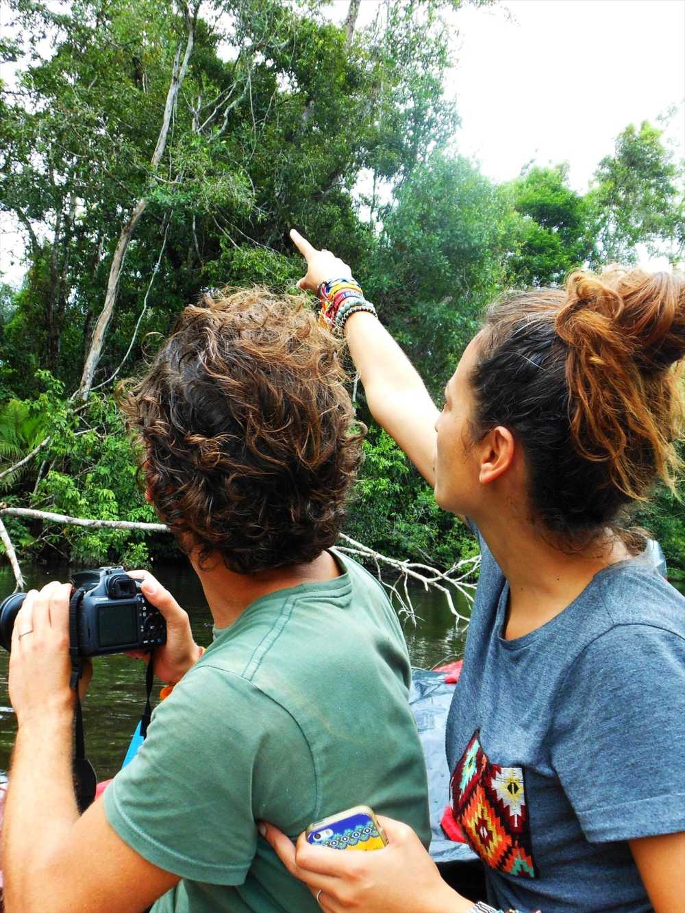 Watching wildlife at the Napo River Tour
