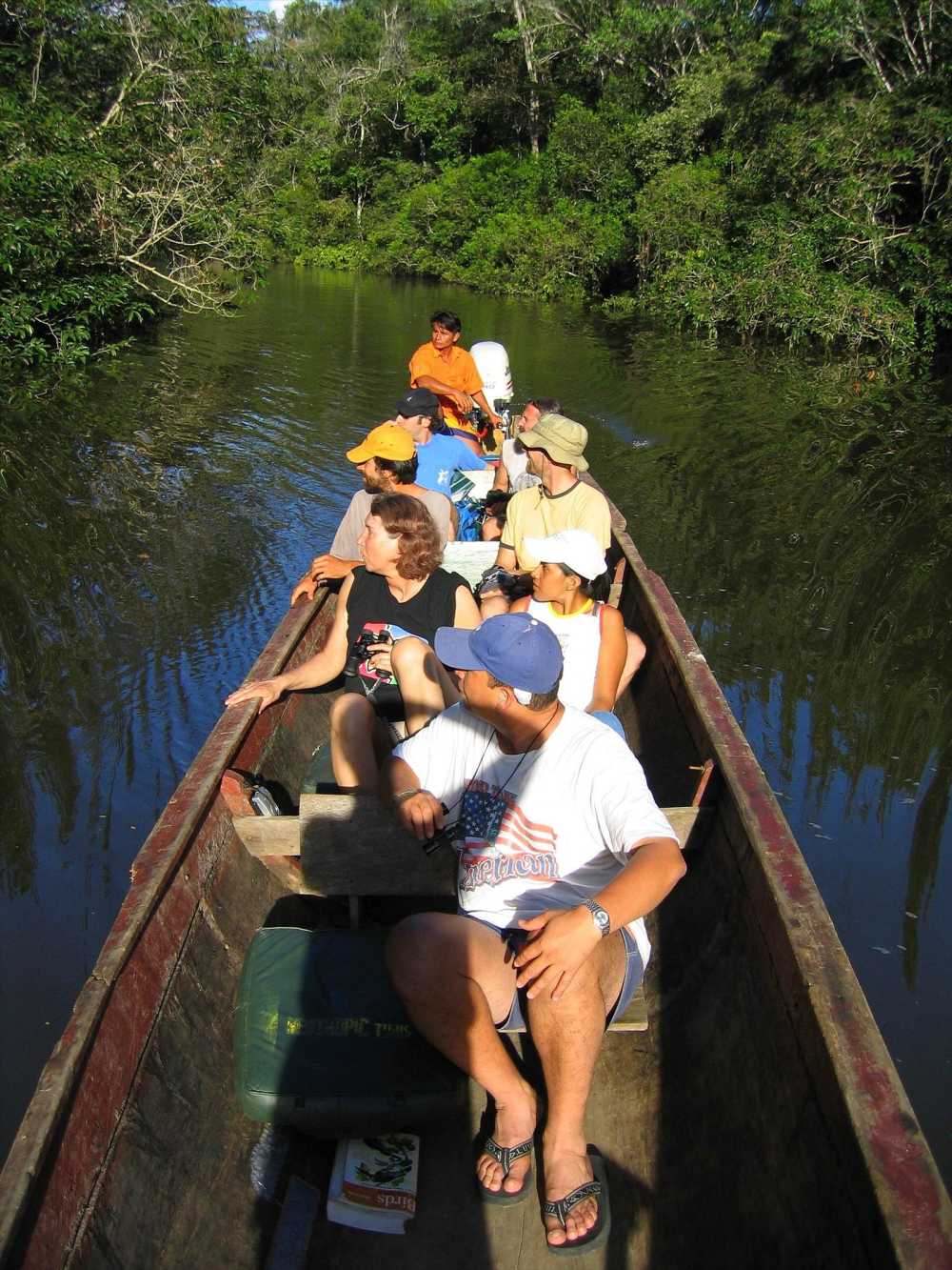 Rainforest birding in Cuyabeno