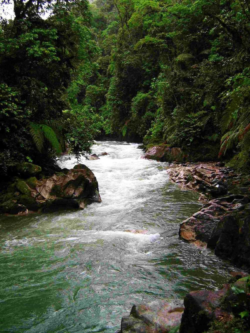 Bombuscara River, Podocarpus National Park