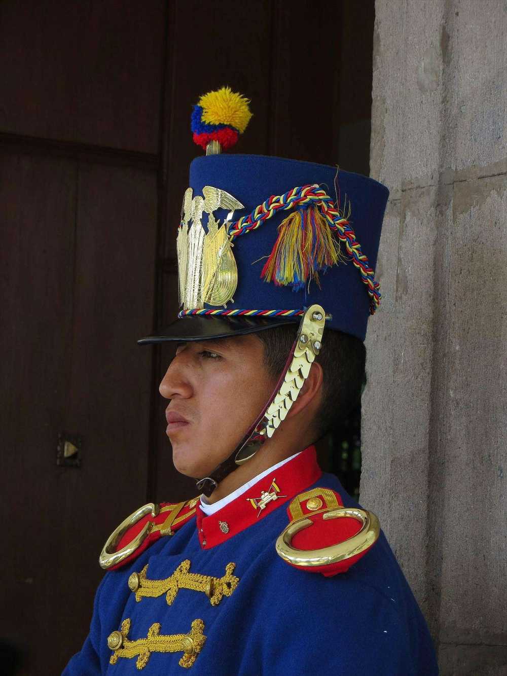 Presidential palace guard