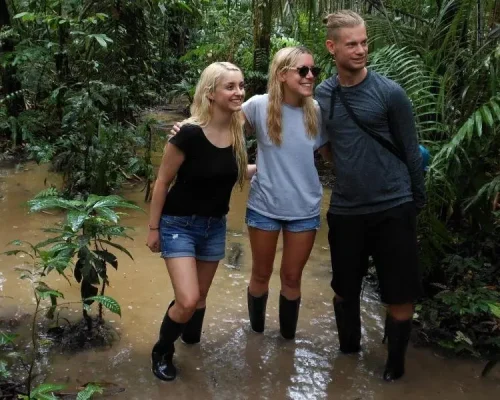 flooded-forest.jpg