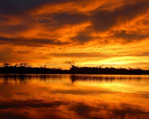 golden-sunset-cuyabeno-lake.jpg